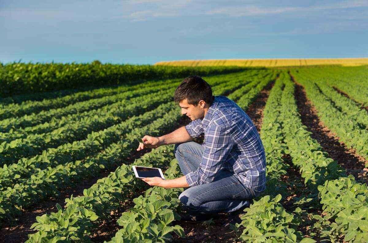 Estratégias para impulsionar as redes sociais de sua empresa no agronegócio