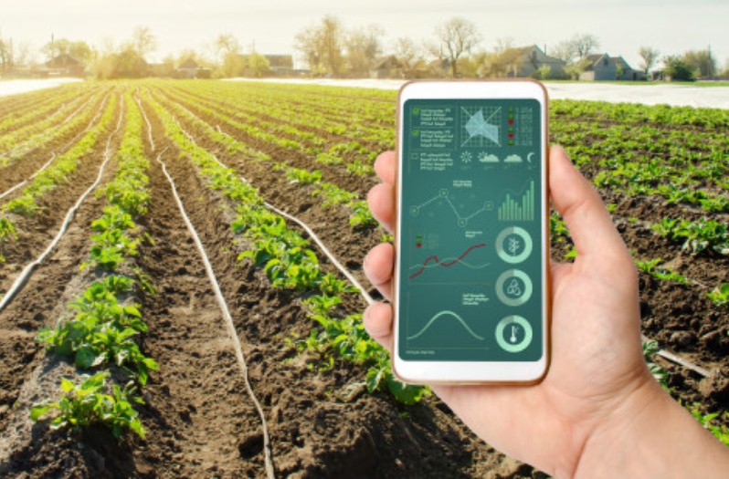 hand-is-holding-smartphone-with-irrigation-system-management-analytics-data_72572-1032