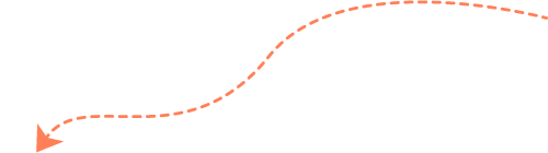 seta-laranja-1