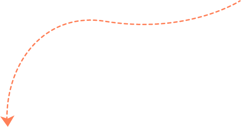 seta-laranja-2-1